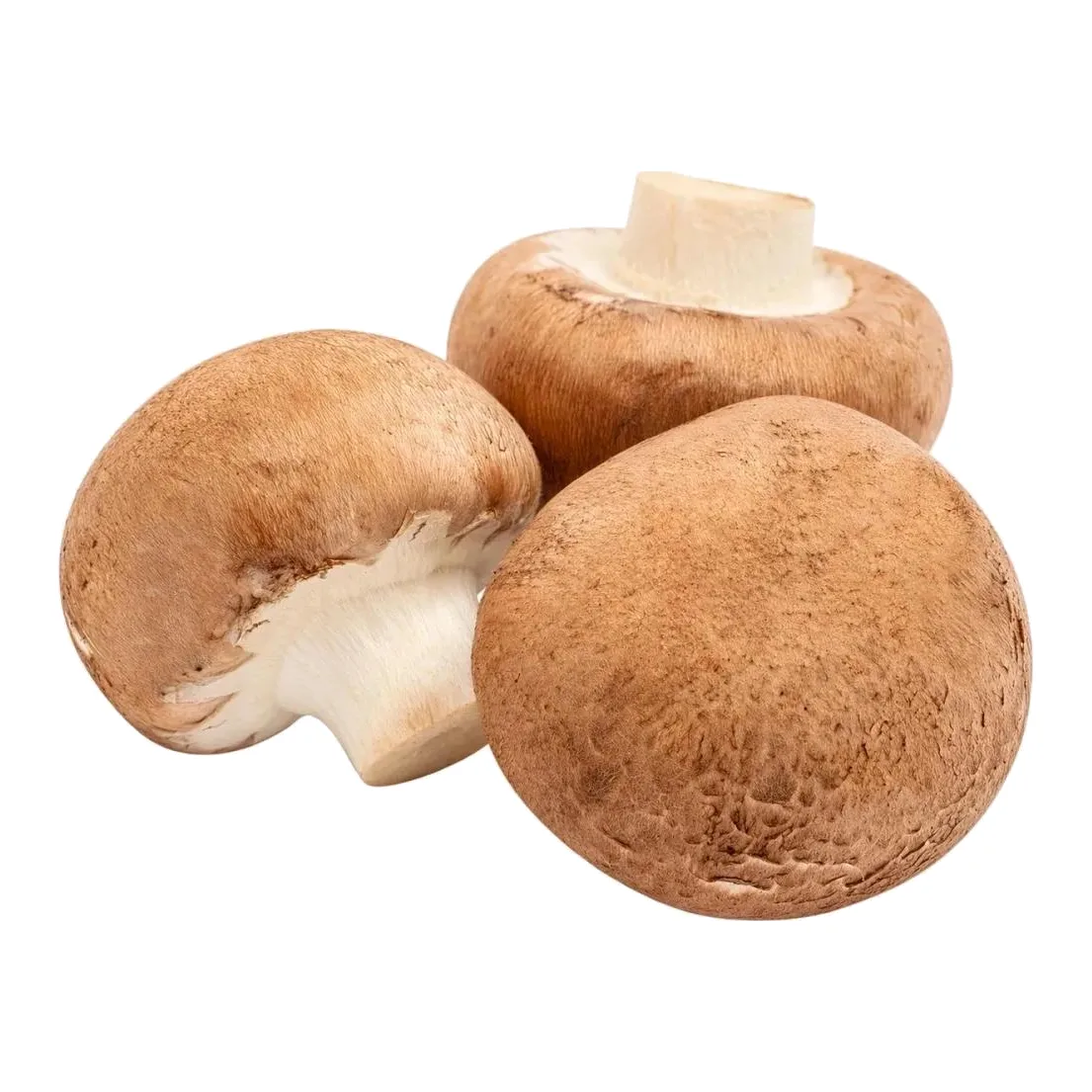Шампиньоны королевские