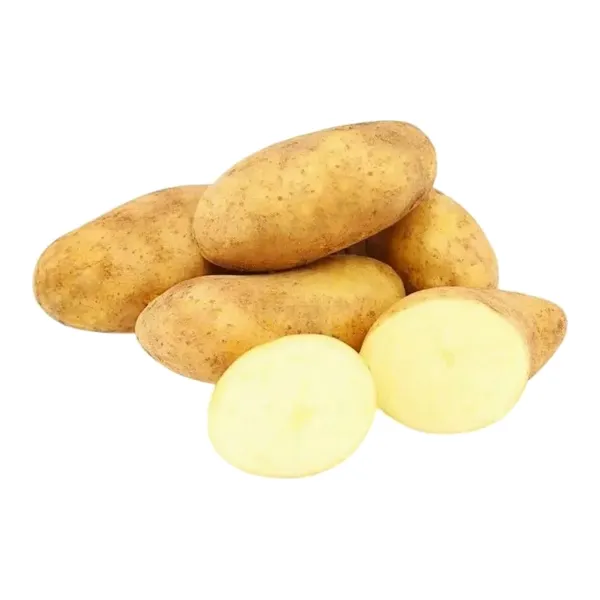 Картофель египетский