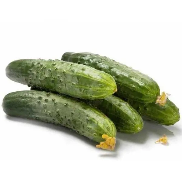 Огурцы салатные фото 2